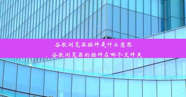 谷歌浏览器插件是什么意思、谷歌浏览器的插件在哪个文件夹