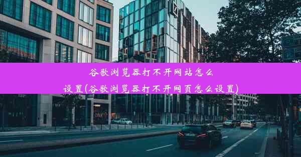 谷歌浏览器打不开网站怎么设置(谷歌浏览器打不开网页怎么设置)