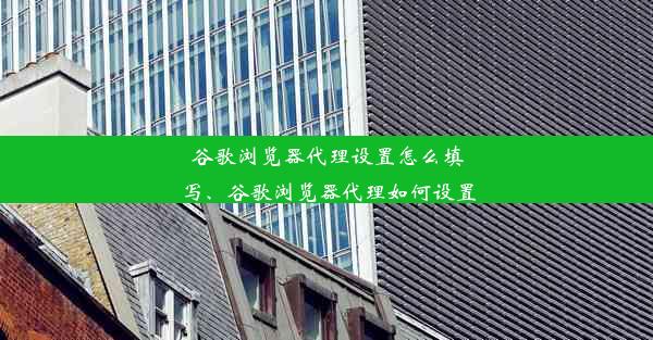 谷歌浏览器代理设置怎么填写、谷歌浏览器代理如何设置