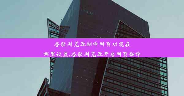 谷歌浏览器翻译网页功能在哪里设置,谷歌浏览器开启网页翻译