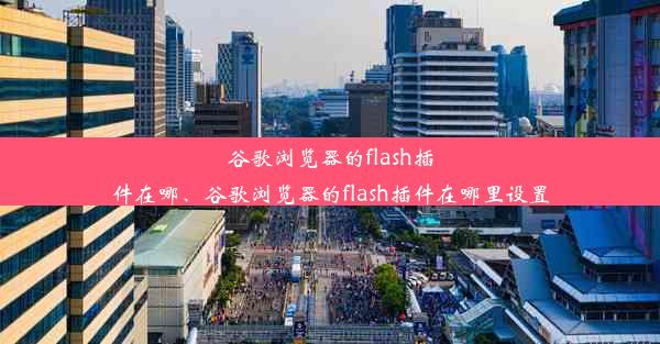 谷歌浏览器的flash插件在哪、谷歌浏览器的flash插件在哪里设置