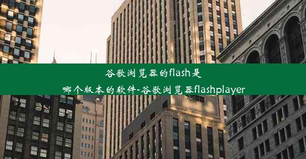 谷歌浏览器的flash是哪个版本的软件-谷歌浏览器flashplayer