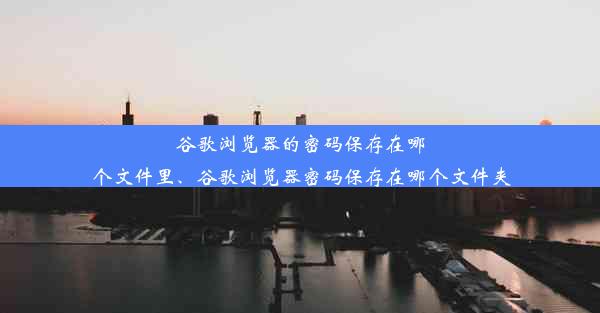 谷歌浏览器的密码保存在哪个文件里、谷歌浏览器密码保存在哪个文件夹