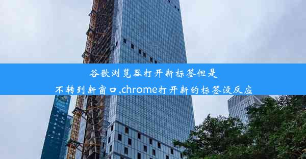 谷歌浏览器打开新标签但是不转到新窗口,chrome打开新的标签没反应