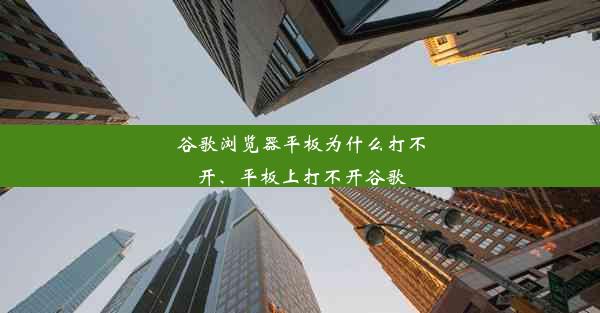 谷歌浏览器平板为什么打不开、平板上打不开谷歌