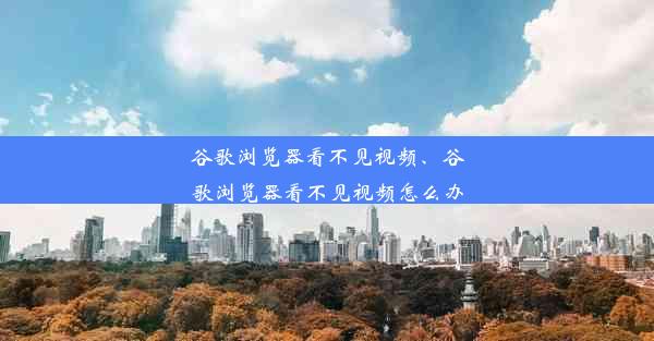 谷歌浏览器看不见视频、谷歌浏览器看不见视频怎么办