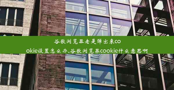 谷歌浏览器老是弹出来cookie设置怎么办,谷歌浏览器cookie什么意思啊