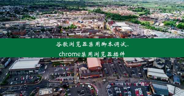 谷歌浏览器禁用脚本调试、chrome禁用浏览器插件