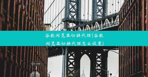 谷歌浏览器切换代理(谷歌浏览器切换代理怎么设置)