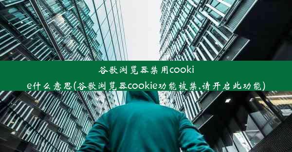 谷歌浏览器禁用cookie什么意思(谷歌浏览器cookie功能被禁,请开启此功能)