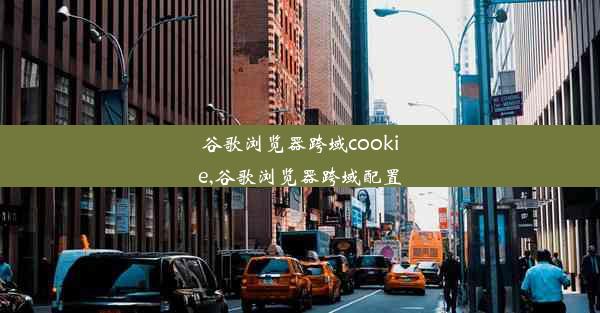 谷歌浏览器跨域cookie,谷歌浏览器跨域配置