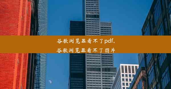 谷歌浏览器看不了pdf,谷歌浏览器看不了图片