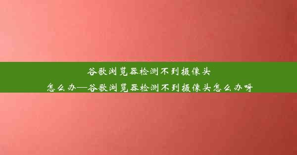 谷歌浏览器检测不到摄像头怎么办—谷歌浏览器检测不到摄像头怎么办呀