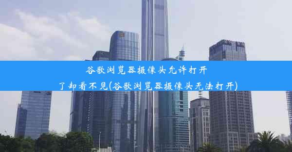 谷歌浏览器摄像头允许打开了却看不见(谷歌浏览器摄像头无法打开)