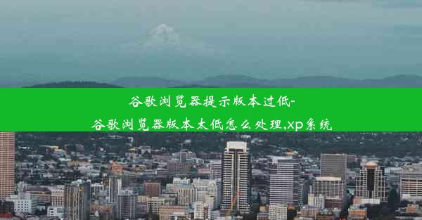 谷歌浏览器提示版本过低-谷歌浏览器版本太低怎么处理,xp系统