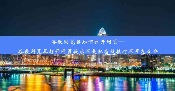 谷歌浏览器如何打开网页—谷歌浏览器打开网页提示不是私密链接打不开怎么办