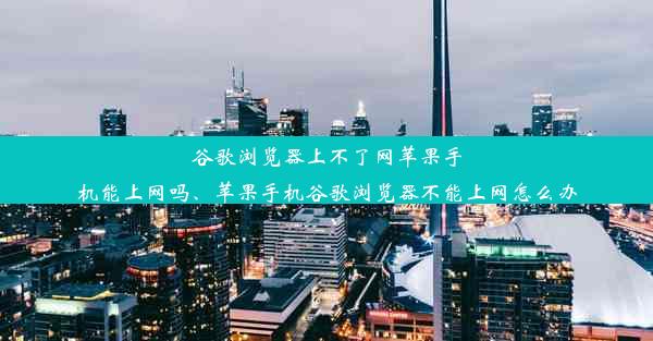 谷歌浏览器上不了网苹果手机能上网吗、苹果手机谷歌浏览器不能上网怎么办