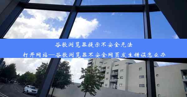 谷歌浏览器提示不安全无法打开网站—谷歌浏览器不安全网页发生错误怎么办