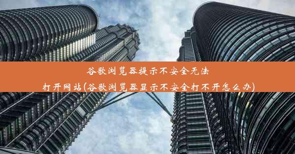 谷歌浏览器提示不安全无法打开网站(谷歌浏览器显示不安全打不开怎么办)