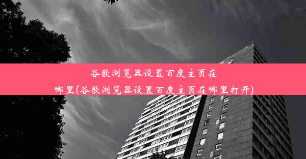 谷歌浏览器设置百度主页在哪里(谷歌浏览器设置百度主页在哪里打开)