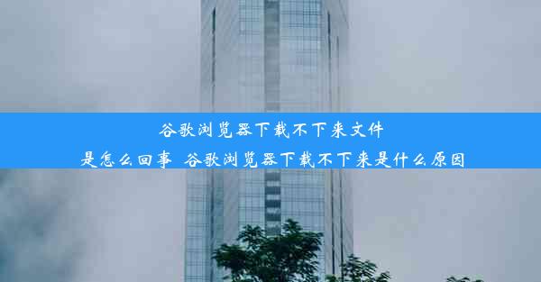 谷歌浏览器下载不下来文件是怎么回事_谷歌浏览器下载不下来是什么原因