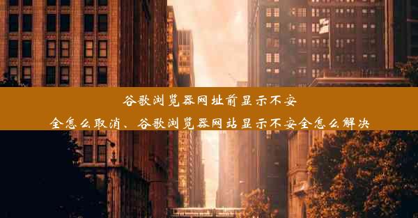 谷歌浏览器网址前显示不安全怎么取消、谷歌浏览器网站显示不安全怎么解决