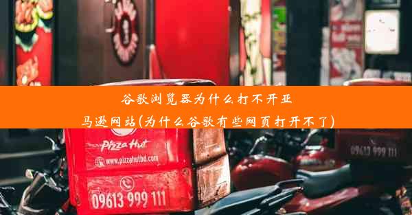 谷歌浏览器为什么打不开亚马逊网站(为什么谷歌有些网页打开不了)