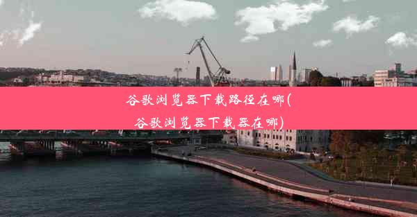 谷歌浏览器下载路径在哪(谷歌浏览器下载器在哪)