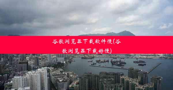 谷歌浏览器下载软件慢(谷歌浏览器下载好慢)