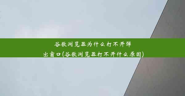 谷歌浏览器为什么打不开弹出窗口(谷歌浏览器打不开什么原因)