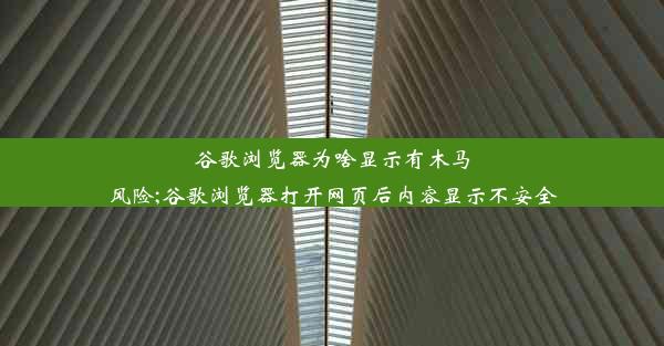 谷歌浏览器为啥显示有木马风险;谷歌浏览器打开网页后内容显示不安全