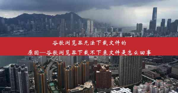 谷歌浏览器无法下载文件的原因—谷歌浏览器下载不下来文件是怎么回事