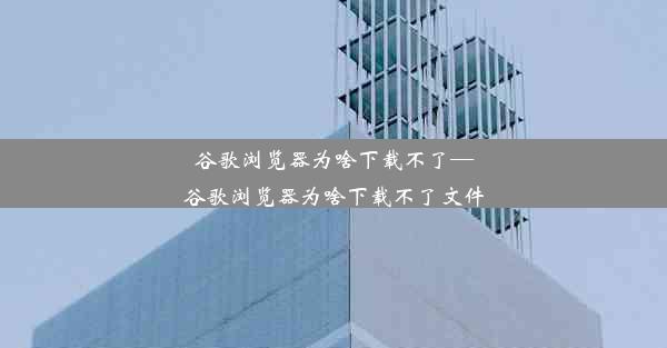 谷歌浏览器为啥下载不了—谷歌浏览器为啥下载不了文件