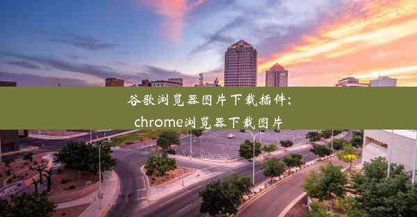 谷歌浏览器图片下载插件;chrome浏览器下载图片