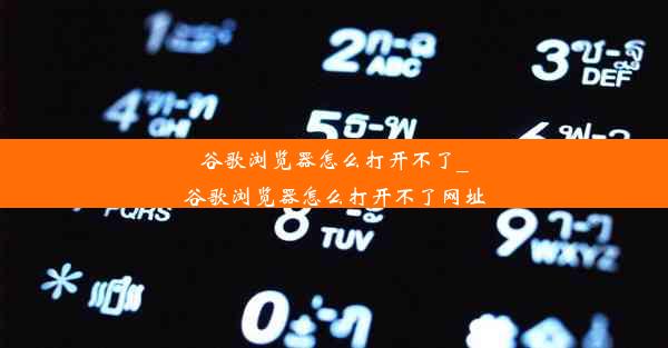 谷歌浏览器怎么打开不了_谷歌浏览器怎么打开不了网址