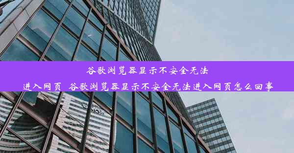 谷歌浏览器显示不安全无法进入网页_谷歌浏览器显示不安全无法进入网页怎么回事