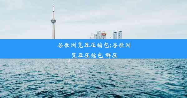 谷歌浏览器压缩包;谷歌浏览器压缩包 解压