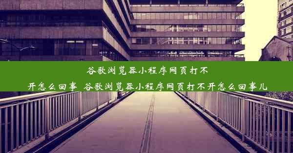 谷歌浏览器小程序网页打不开怎么回事_谷歌浏览器小程序网页打不开怎么回事儿