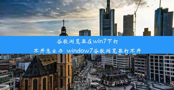 谷歌浏览器在win7下打不开怎么办_window7谷歌浏览器打不开