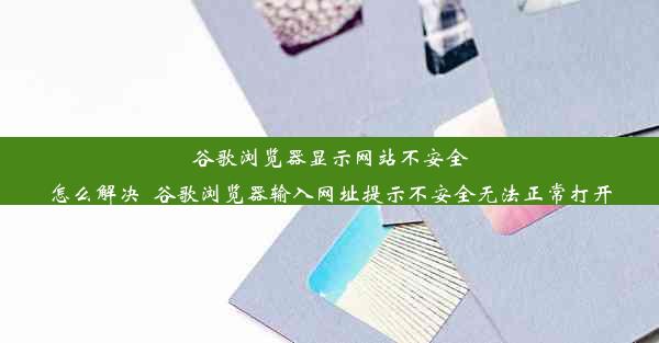 谷歌浏览器显示网站不安全怎么解决_谷歌浏览器输入网址提示不安全无法正常打开