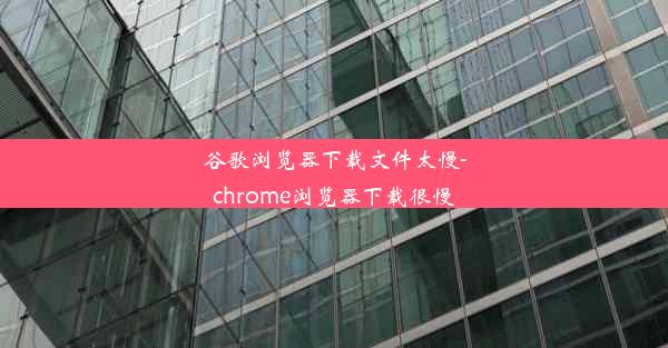 谷歌浏览器下载文件太慢-chrome浏览器下载很慢