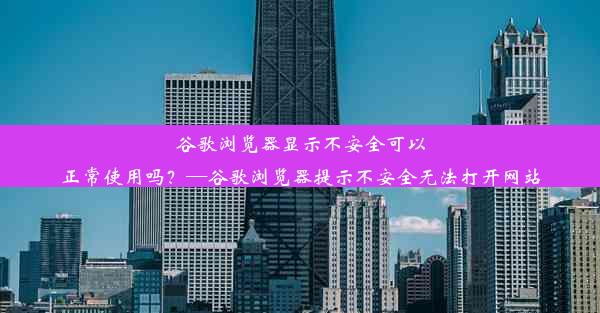 谷歌浏览器显示不安全可以正常使用吗？—谷歌浏览器提示不安全无法打开网站