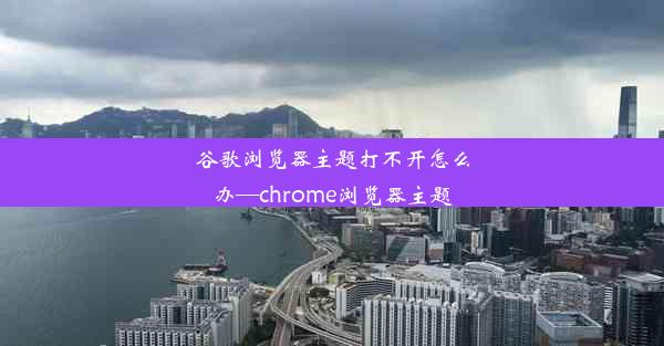 谷歌浏览器主题打不开怎么办—chrome浏览器主题