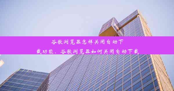 谷歌浏览器怎样关闭自动下载功能、谷歌浏览器如何关闭自动下载