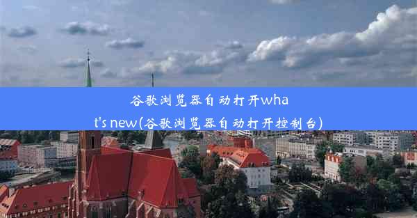 谷歌浏览器自动打开what's new(谷歌浏览器自动打开控制台)