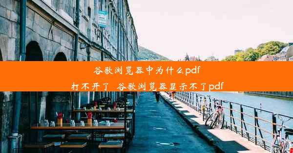 谷歌浏览器中为什么pdf打不开了_谷歌浏览器显示不了pdf