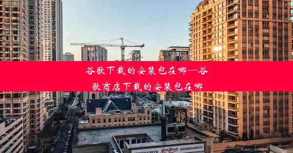 谷歌下载的安装包在哪—谷歌商店下载的安装包在哪