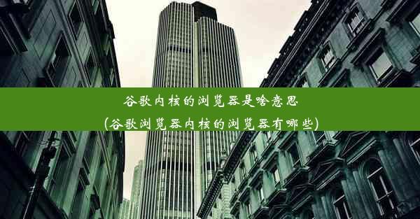 谷歌内核的浏览器是啥意思(谷歌浏览器内核的浏览器有哪些)