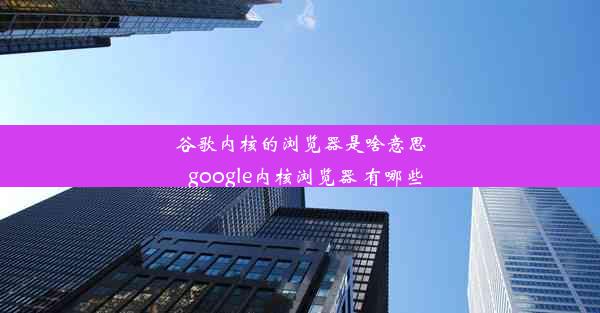 谷歌内核的浏览器是啥意思_google内核浏览器 有哪些