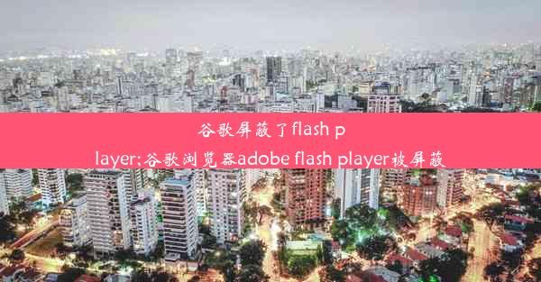 谷歌屏蔽了flash player;谷歌浏览器adobe flash player被屏蔽